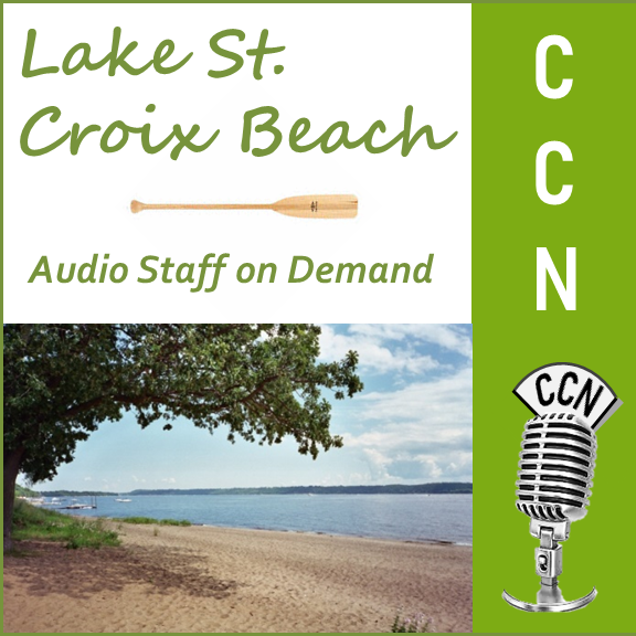 LSCB's Audio Staff on Demand Label